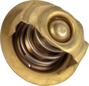 Termostat 090076538