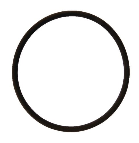 Pierścień uszczelniający o-ring 126.4x7 Viton Rau RG00058725 - Intertraktor