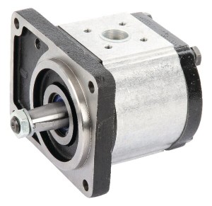 Pompa zębata Polaris gr. 3 wersja 56-B3, PLP30.34D0-56B3-LBM/BL-N PLP3034D056B3
