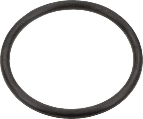 Pierścień uszczelniający o-ring Case IH 3131661R1 - Intertraktor