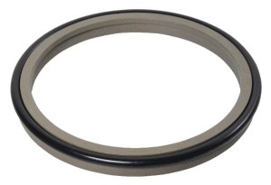 Zgarniak 28x 34,8x 5 ASP283485PTFE