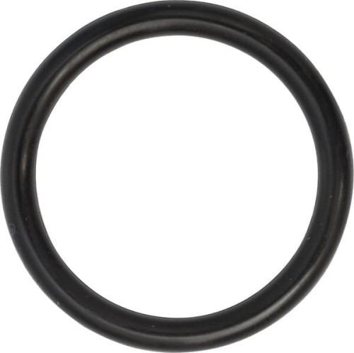 Pierścień uszczelniający o-ring 0481600200 - Intertraktor