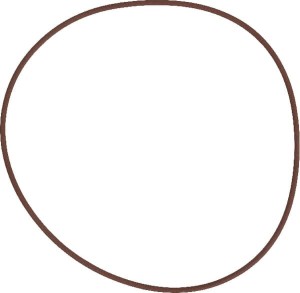 O-ring hamulca MF 215391770