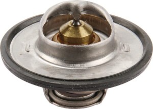 Termostat 0011381470