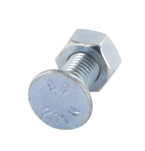 Śruba płużna 1-noskowa M10x30 mm Naud z nakrętką 051805