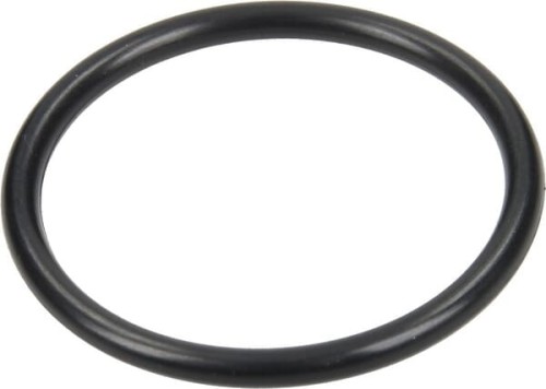 Pierścień uszczelniający o-ring 26.64x2.62mm czarny Comet 12100030 - Intertraktor