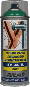 Lakier akrylowy w sprayu, RAL 6029 zielony miętętowy 400 ml 07145