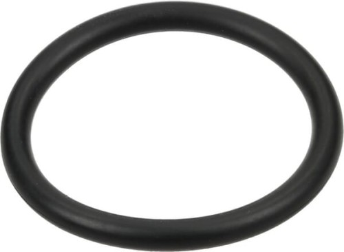 Pierścień uszczelniający o-ring 17.5x2mm Viton czarny Annovi Reverberi 180101AV - Intertraktor