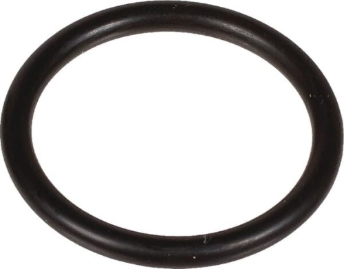 Pierścień uszczelniający o-ring 25x3mm EPDM czarny Bertolini 803219002 - Intertraktor