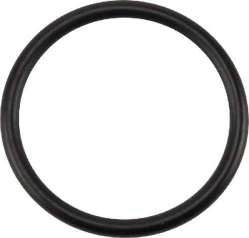 Pierścień o-ring NWS01517 - Intertraktor