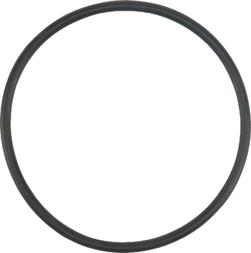 Pierścień uszczelniający o-ring X548941966000 - Intertraktor
