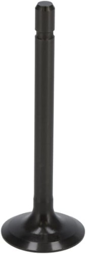 Zawór ssący 1G67313112 - Intertraktor