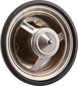 Termostat 0011738580