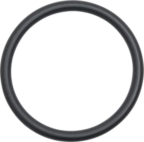 Uszczelniacz oleju 1004637M1 - Intertraktor