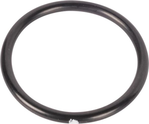 Pierścień uszczelniający o-ring N131838 - Intertraktor