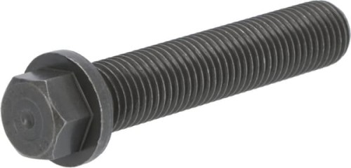 Śruba z łbem sześciokątnym 04234117 - Intertraktor