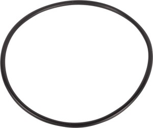 Pierścień uszczelniający o-ring 3005538X1
