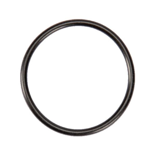 Pierścień uszczelniający o-ring 42x3 Rau RG00041214 - Intertraktor