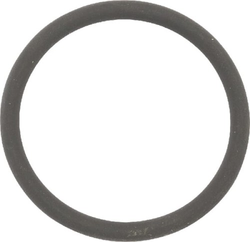 Pierścień uszczelniający o-ring 0062280 - Intertraktor