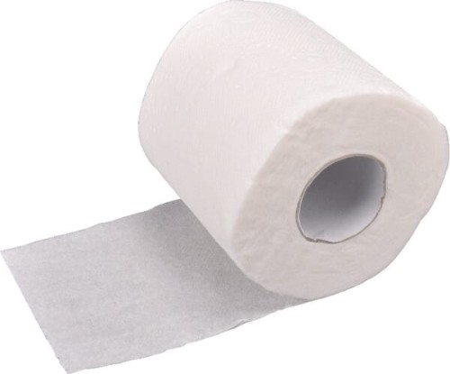 Papier toaletowy, biały w rolce, 10 cm x 28 m, 2 warstwowy, 48 szt. gopart CP21101 - Intertraktor
