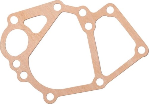 Uszczelka pompy 145996900 - Intertraktor