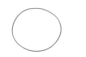 O-ring, Carraro CI028639