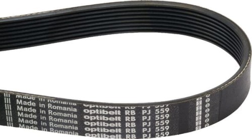 Pas wielorowkowy Optibelt, 8PJ559 8PJ559 - Intertraktor
