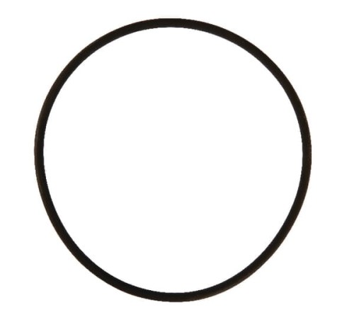 Pierścień uszczelniający o-ring 94.85x3.53 Viton Rau RG00018769 - Intertraktor