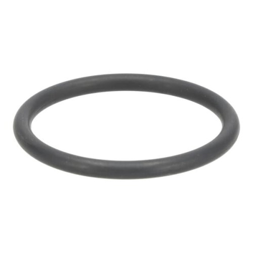 Uszczelniacz oleju 04200582 - Intertraktor