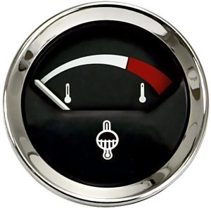 Wskaźnik temperatury VPM5541