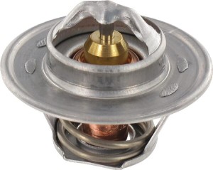 Termostat MF V836015156
