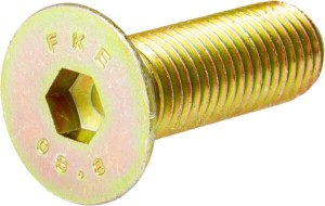 Śruba imbusowa M16x50 mm 8112190325