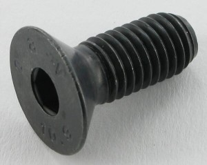 Śruba M10x1,5x25 Maschio F01030085R