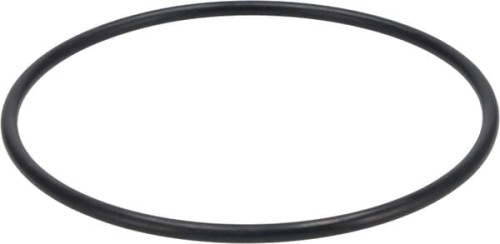 Uszczelniacz oleju 01295701 - Intertraktor