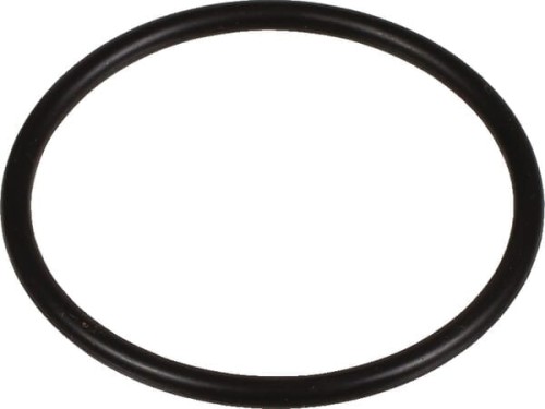 Pierścień uszczelniający o-ring 001051423 - Intertraktor