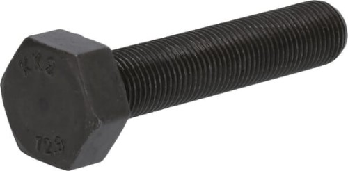 Śruba z łbem sześciokątnym 04204130 - Intertraktor