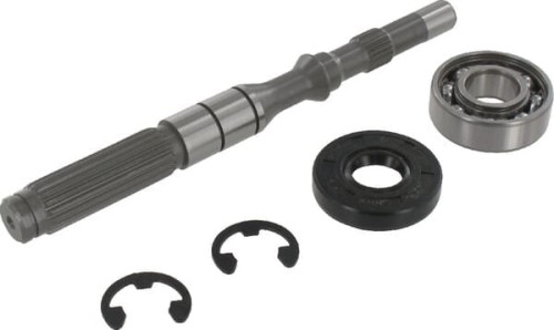 Wał pompy/łożysko, zestaw 1A646099950 - Intertraktor