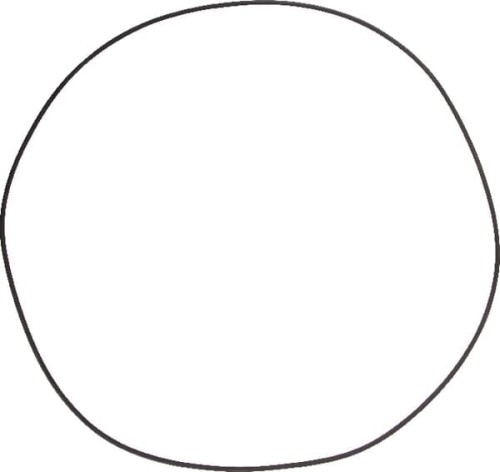 Pierścień uszczelniający o-ring 001053338 - Intertraktor