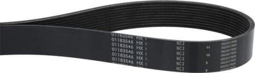 Pas klinowy wielorowkowy 01183546 - Intertraktor