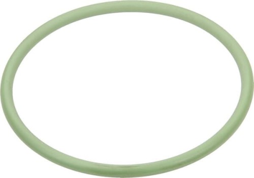 Pierścień uszczelniający o-ring 49.69x2.62mm Viton zielony Arag 454236080V - Intertraktor