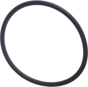 Pierścień uszczelniający o-ring 3019929X1N