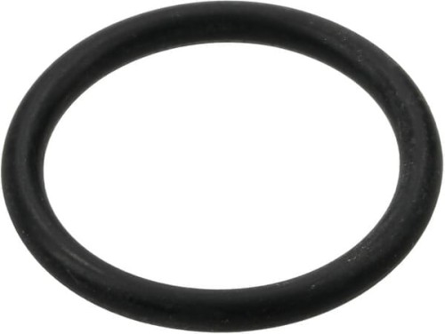 Pierścień uszczelniający o-ring 22.22x2.62mm EPDM biały Arag 465005140 - Intertraktor