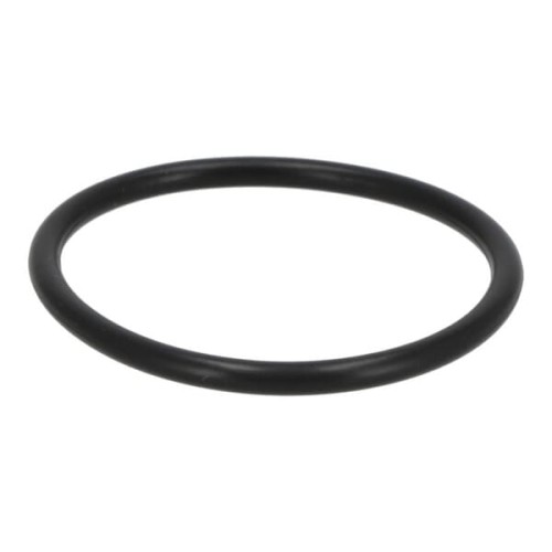 Pierścień uszczelniający o-ring 01319624 - Intertraktor