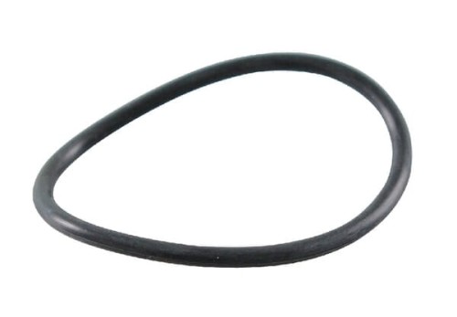 Pierścień uszczelniający o-ring 697123 - Intertraktor