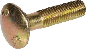 Śruba DIN603 M10x45 mm kl. 8.8 A2G DA331