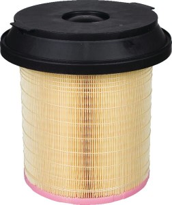 Element filtra powietrza C29010KIT