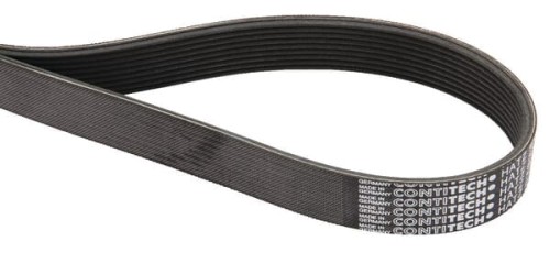 Pas klinowy Poly Hatz 50203101 - Intertraktor