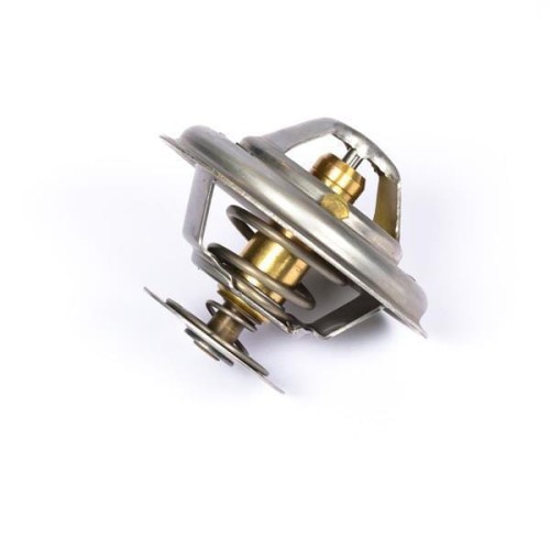 Termostat 2485C036 - Intertraktor