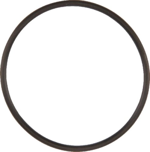 Pierścień o-ring NWS01587 - Intertraktor