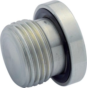 Korek z uszczelką 1/2" BSP VSR08WDGP